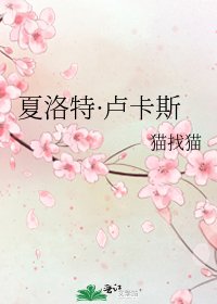 夏洛特·卢卡斯